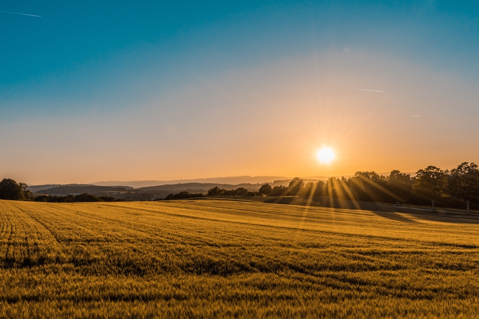 Golden UK farmland at sunset, the kind of rural land many campsites and CL sites are run from