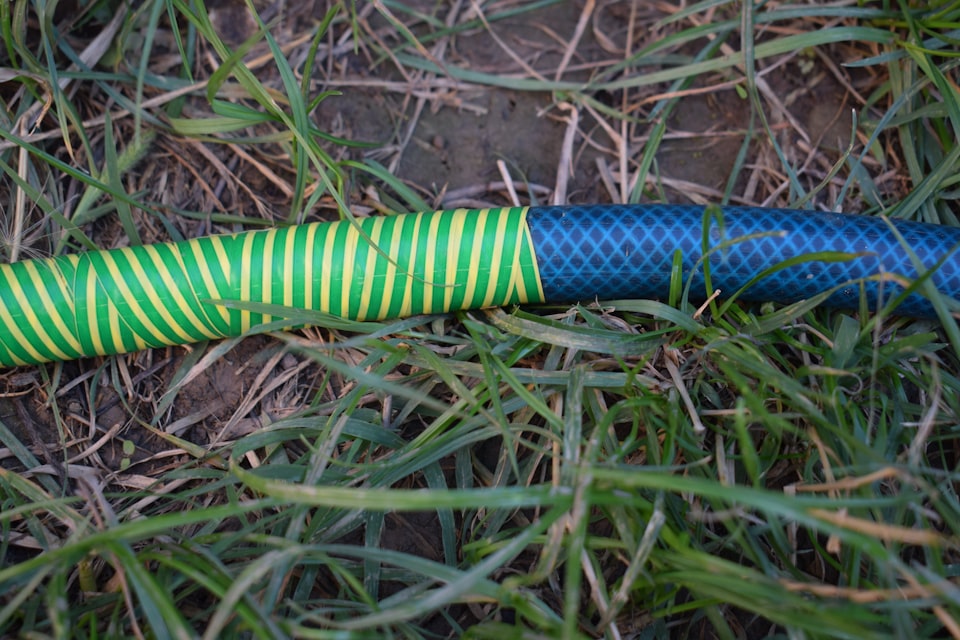 A garden hose lying coiled on dry summer grass