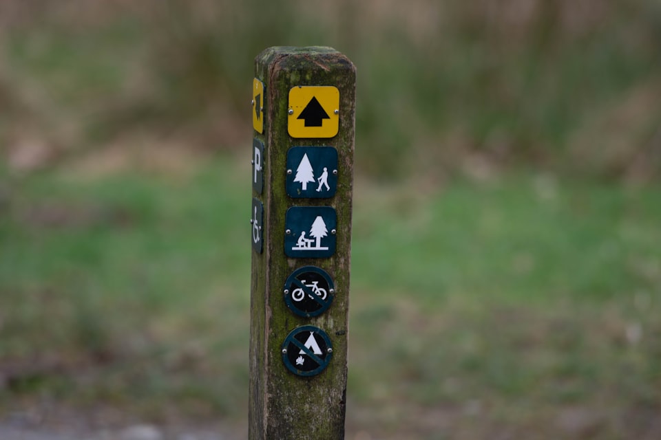 A wooden waymarker post on a UK campsite showing icons for walking, camping, cycling and accessible parking