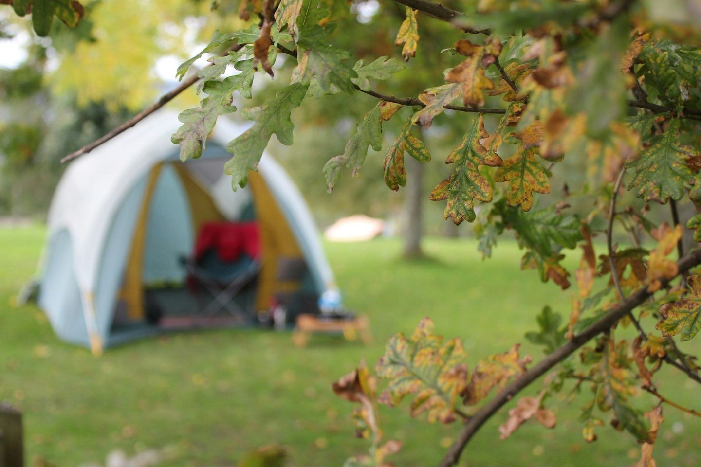 Glamping accommodation in the British countryside