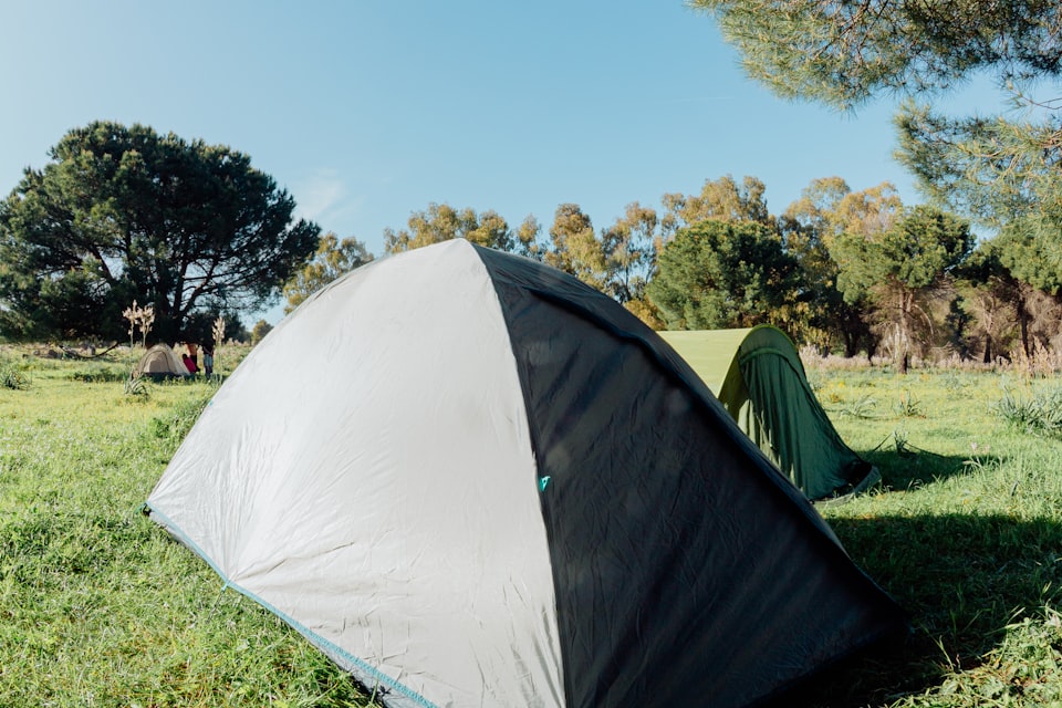 Two small tents pitched on a quiet grass field at a Certificated Site
