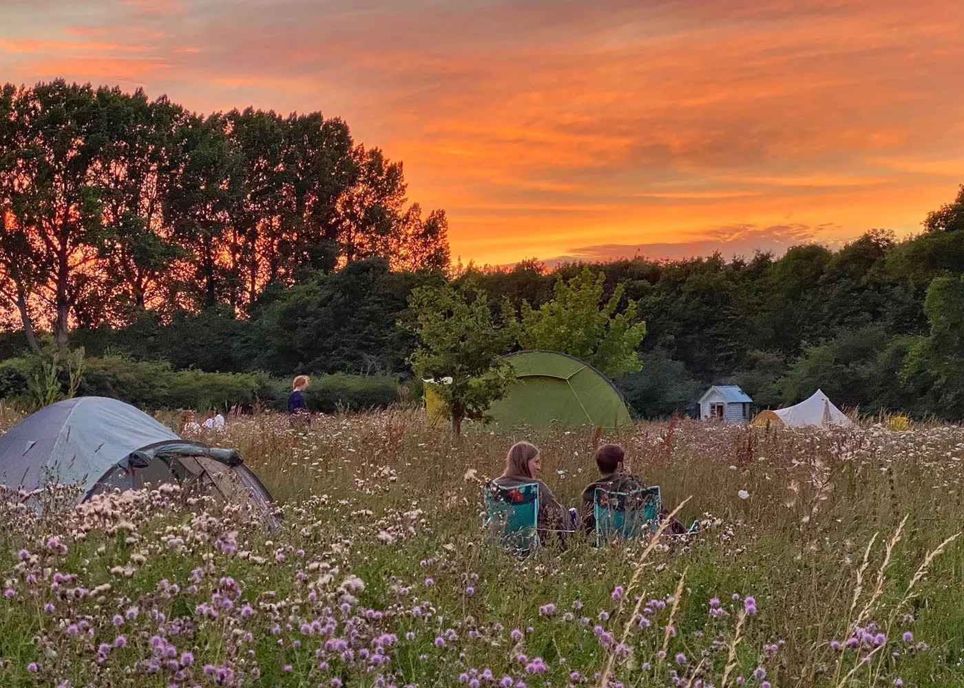 Tents pitched in the wildflower meadow at Wardley Hill under an orange sunset
