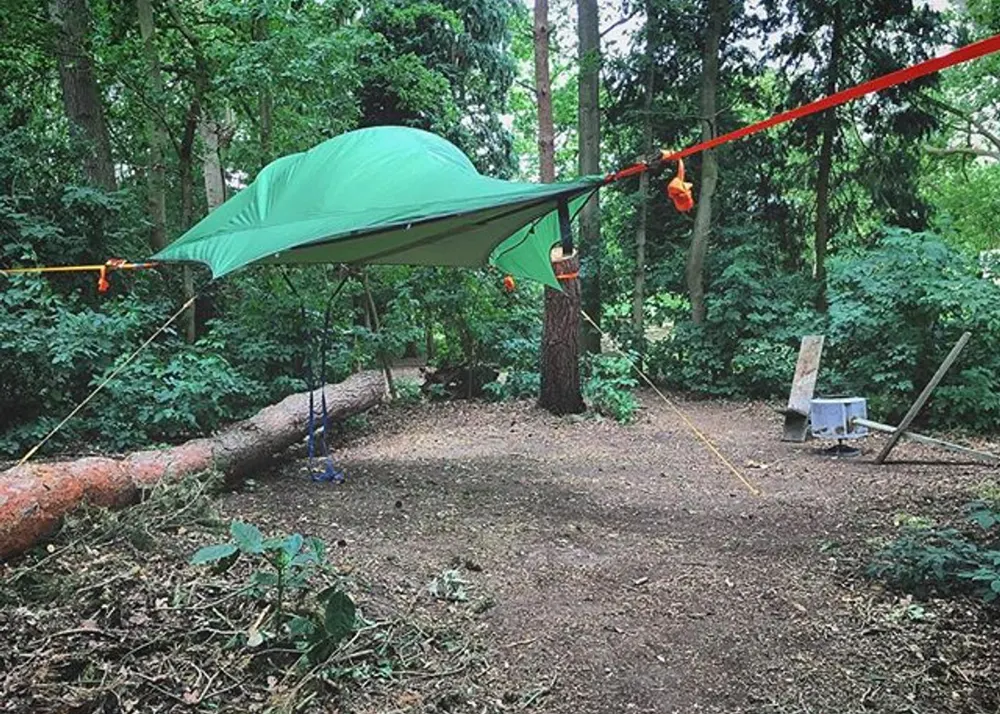 A green Tentsile tree tent strung between trees in the woodland
